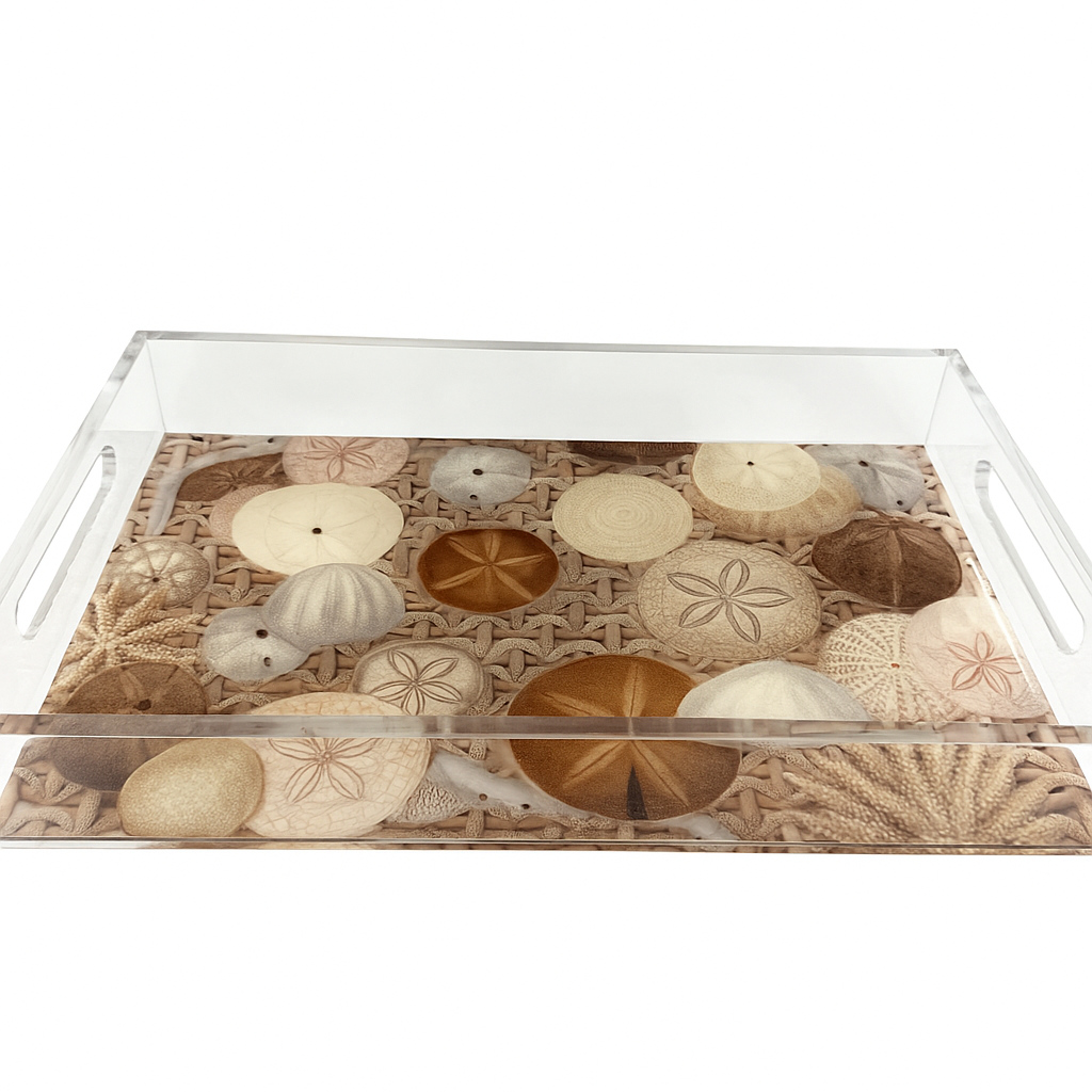Acrylic Vanity Tray, Coastal Sand Dollar - view 04
