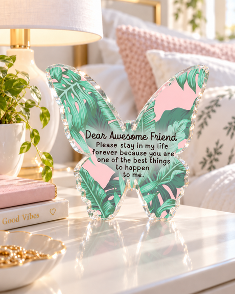 Awesome Friend acrylic desk weight with its friendship message, displayed in a sunny room