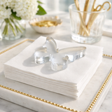 Maven Home Clear Butterfly acrylic napkin weight