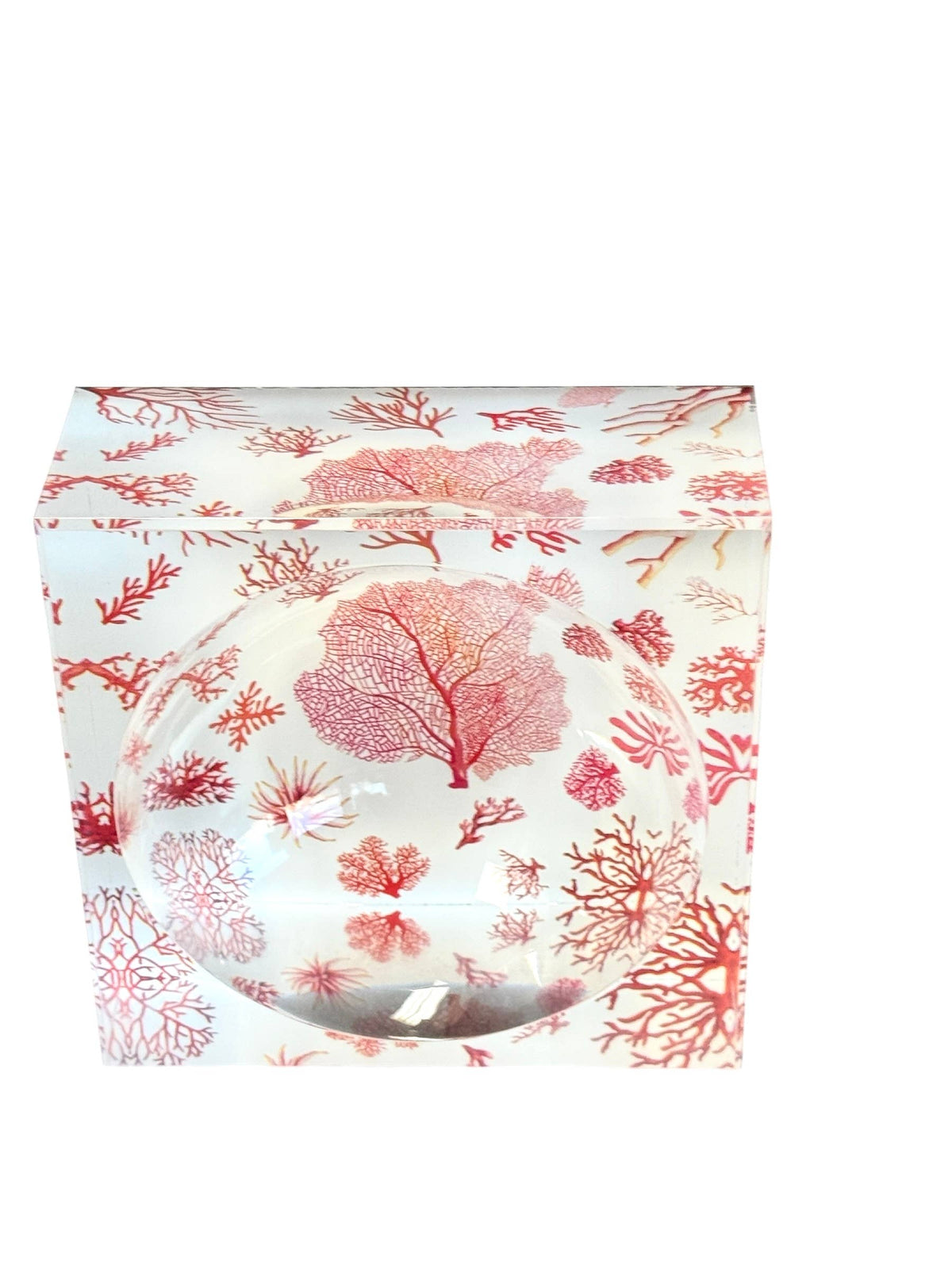 Decorative Acrylic Bowl, Aura Coral - view 06