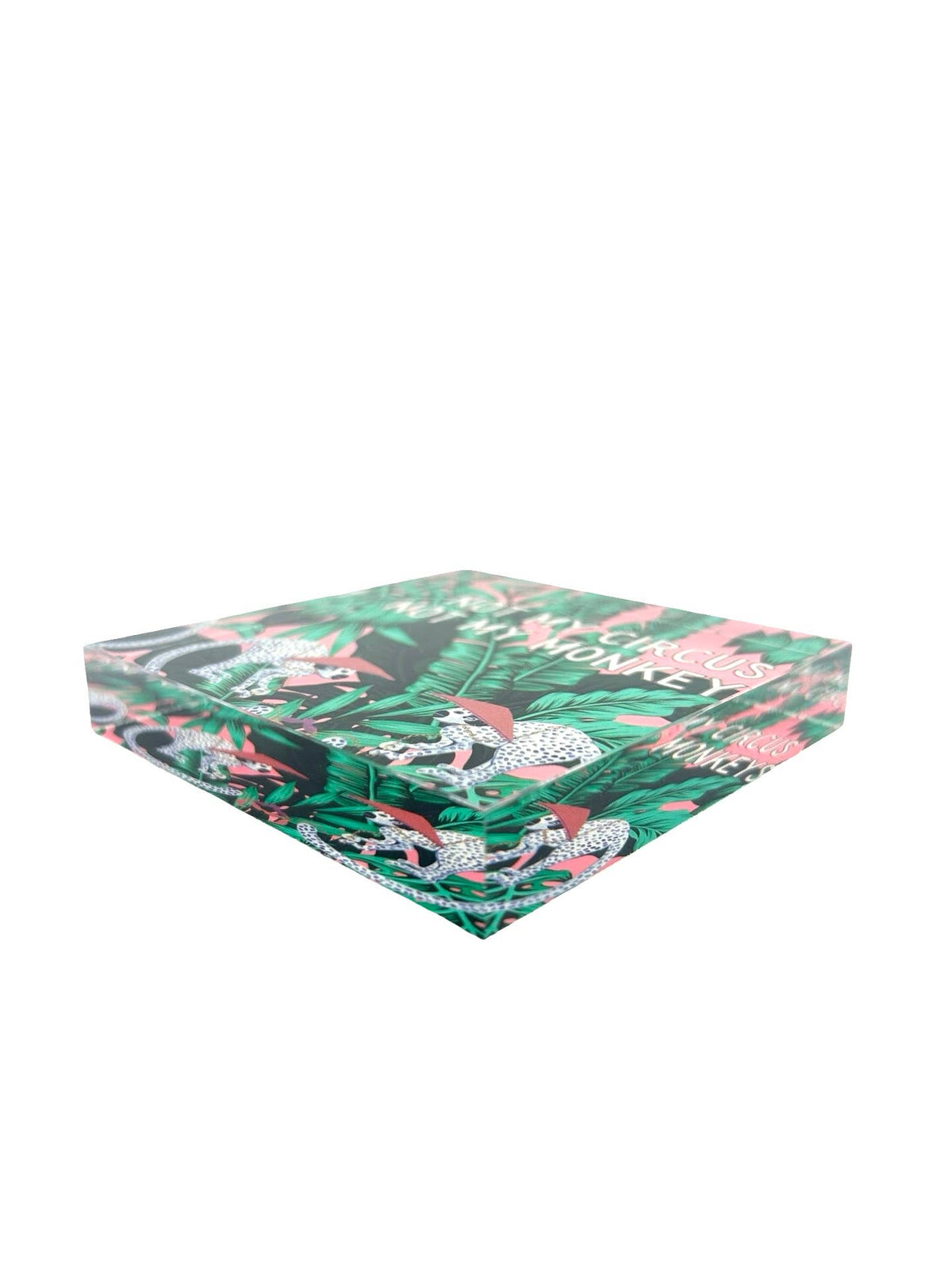 Maven Home Circus acrylic desk weight, view 7