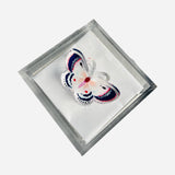 Maven Home Butterfly acrylic napkin weight - view 05