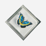 Maven Home Butterfly Blues acrylic napkin weight - view 05