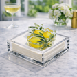 Maven Home Lemons acrylic napkin weight