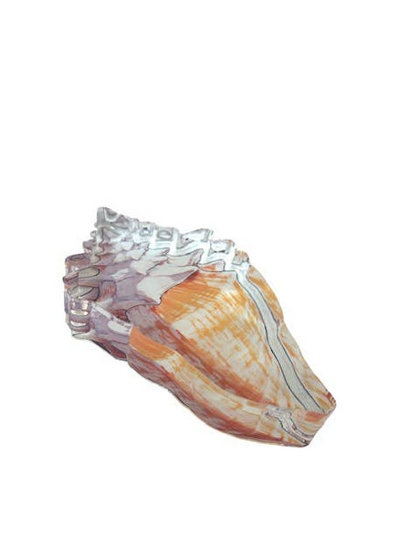 Maven Home Shell acrylic napkin weight - view 04