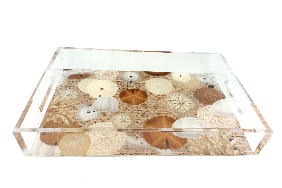 Acrylic Vanity Tray, Coastal Sand Dollars and Seashells - alternate view