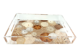 Acrylic Vanity Tray, Coastal Sand Dollars and Seashells - alternate view