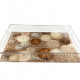 Acrylic Vanity Tray, Coastal Sand Dollar - view 04