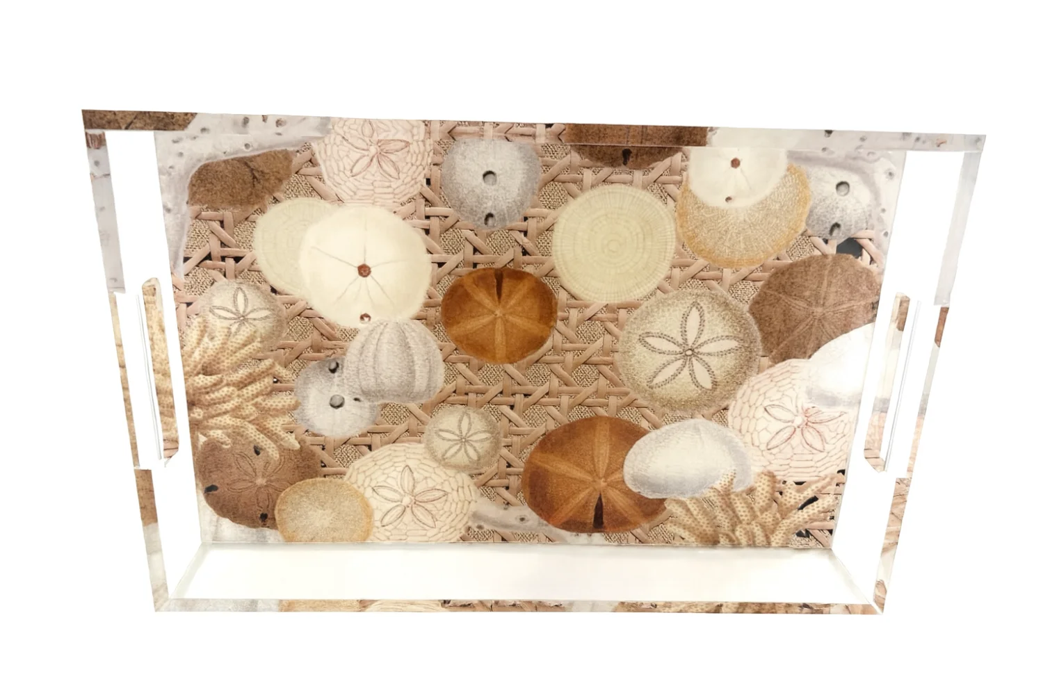 Acrylic Vanity Tray, Sand Dollar – Maven Home Acrylic Vanity Tray, Sand Dollar - 3